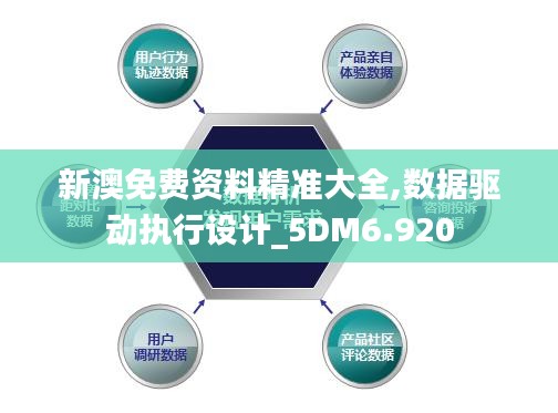 新澳免费资料精准大全,数据驱动执行设计_5DM6.920