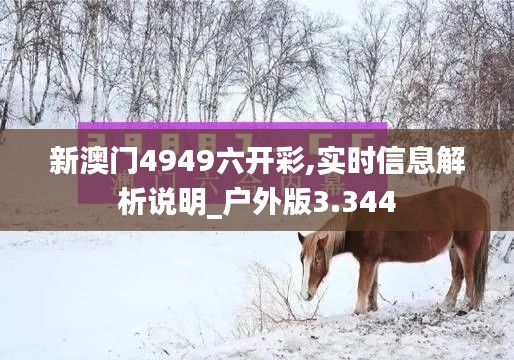 新澳门4949六开彩,实时信息解析说明_户外版3.344