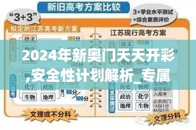 2024年新奥门天天开彩,安全性计划解析_专属款12.147