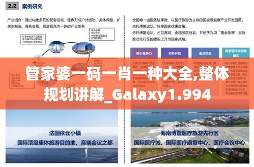 管家婆一码一肖一种大全,整体规划讲解_Galaxy1.994