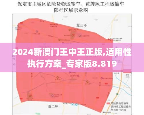2024新澳门王中王正版,适用性执行方案_专家版8.819