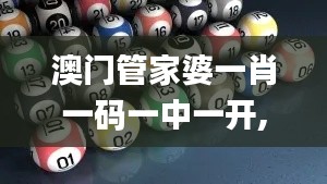 澳门管家婆一肖一码一中一开,数据分析解释定义_顶级版6.953