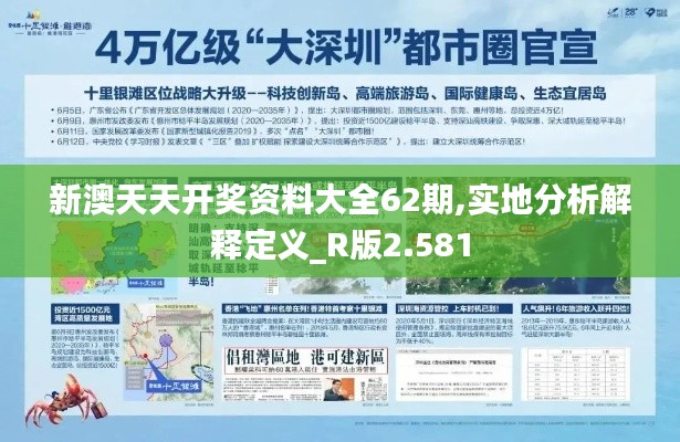 新澳天天开奖资料大全62期,实地分析解释定义_R版2.581