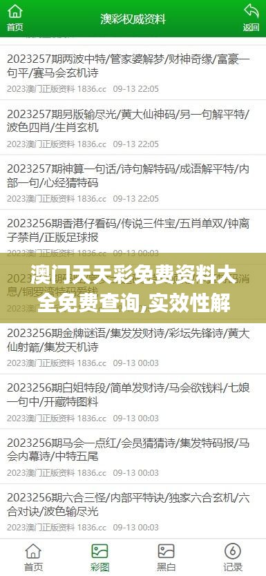 澳门天天彩免费资料大全免费查询,实效性解析解读策略_特别版9.662