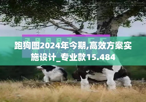 跑狗图2024年今期,高效方案实施设计_专业款15.484