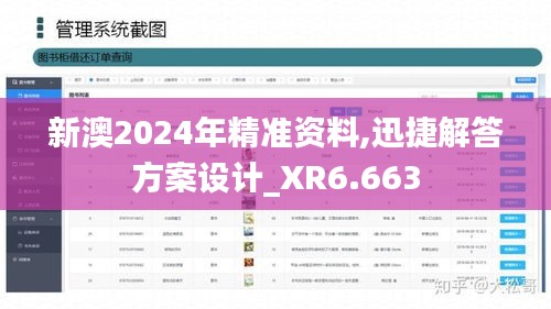 新澳2024年精准资料,迅捷解答方案设计_XR6.663