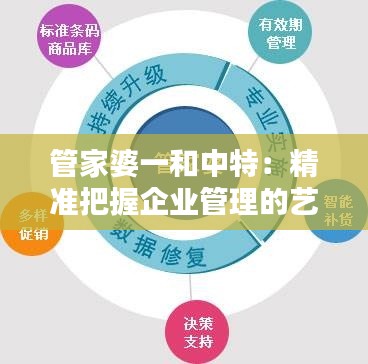 管家婆一和中特：精准把握企业管理的艺术