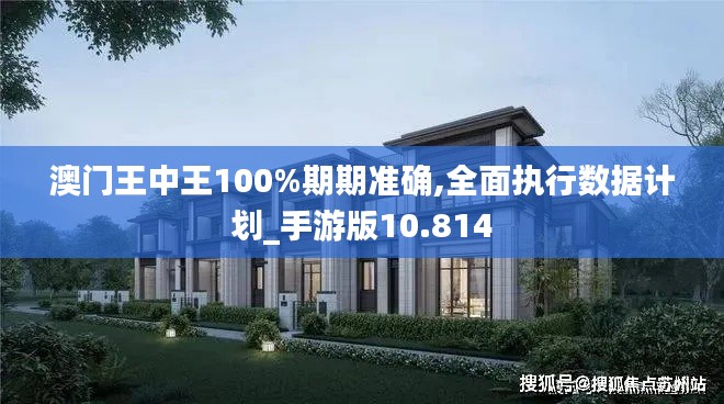 澳门王中王100%期期准确,全面执行数据计划_手游版10.814