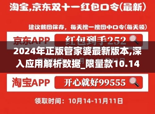 2024年正版管家婆最新版本,深入应用解析数据_限量款10.141