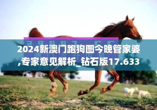 2024新澳门跑狗图今晚管家婆,专家意见解析_钻石版17.633