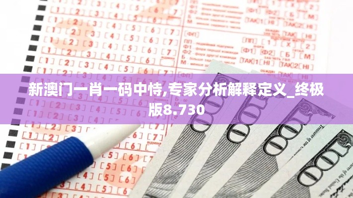 新澳门一肖一码中恃,专家分析解释定义_终极版8.730