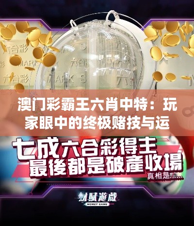 澳门彩霸王六肖中特：玩家眼中的终极赌技与运势对决