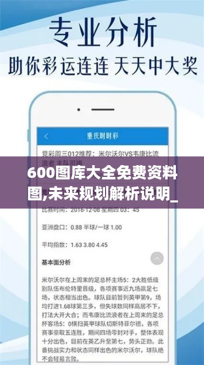 600图库大全免费资料图,未来规划解析说明_yShop5.564