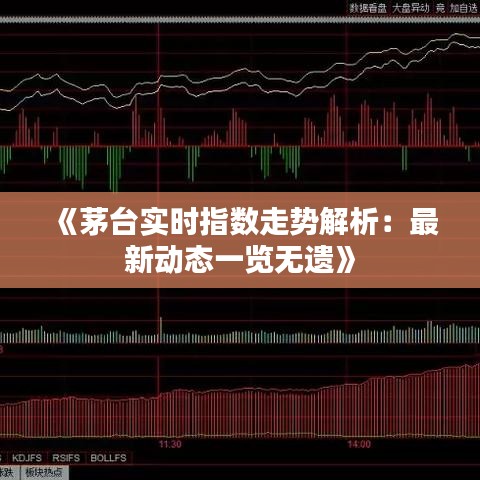 《茅台实时指数走势解析：最新动态一览无遗》