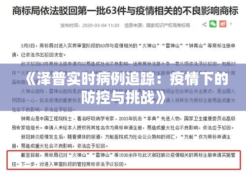 《泽普实时病例追踪：疫情下的防控与挑战》