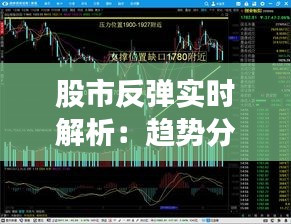 股市反弹实时解析：趋势分析及投资策略
