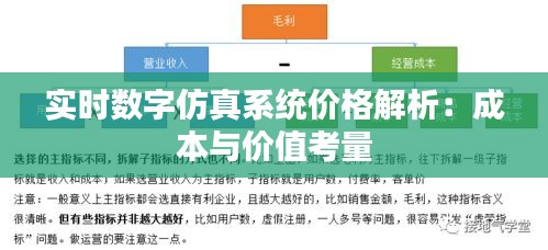 实时数字仿真系统价格解析：成本与价值考量