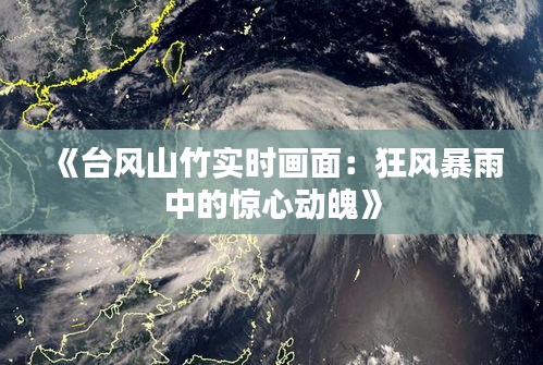 《台风山竹实时画面：狂风暴雨中的惊心动魄》