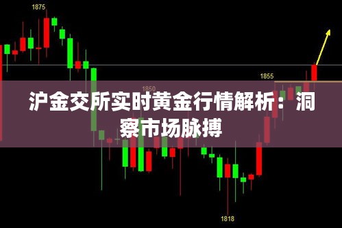 沪金交所实时黄金行情解析：洞察市场脉搏