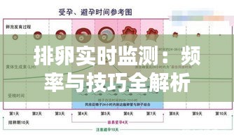 排卵实时监测：频率与技巧全解析