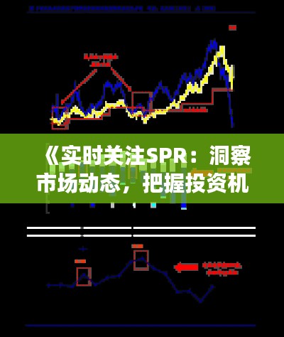《实时关注SPR：洞察市场动态，把握投资机遇》