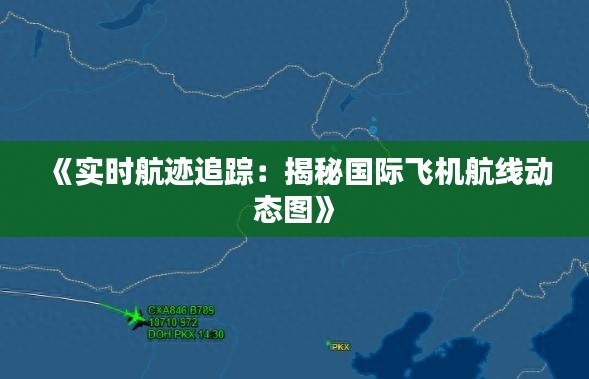 《实时航迹追踪：揭秘国际飞机航线动态图》