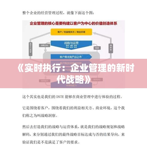 《实时执行：企业管理的新时代战略》