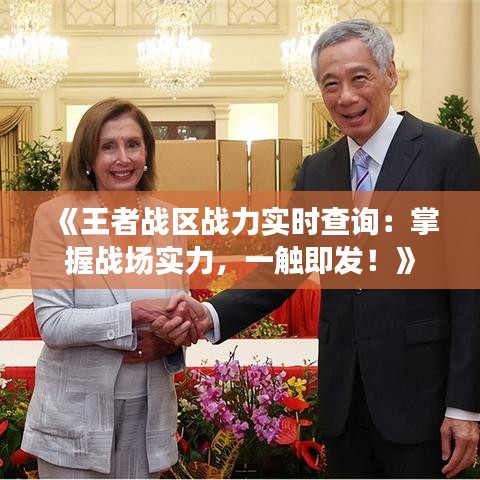 《王者战区战力实时查询：掌握战场实力，一触即发！》