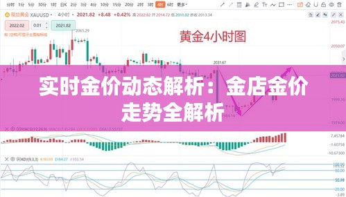 实时金价动态解析：金店金价走势全解析