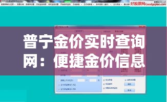 普宁金价实时查询网：便捷金价信息，助您投资无忧