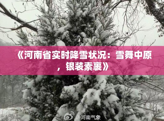 《河南省实时降雪状况：雪舞中原，银装素裹》