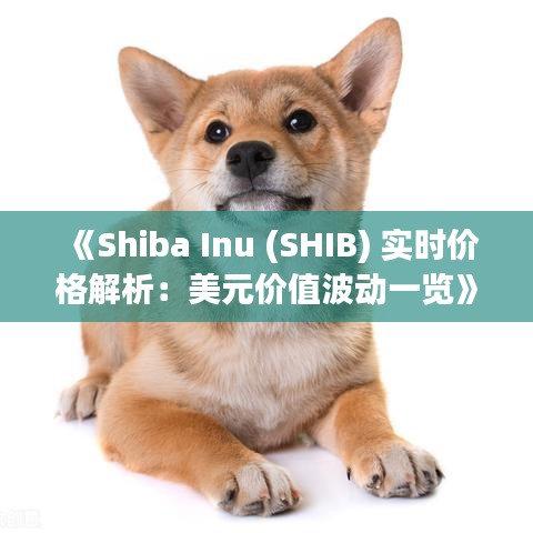 《Shiba Inu (SHIB) 实时价格解析：美元价值波动一览》