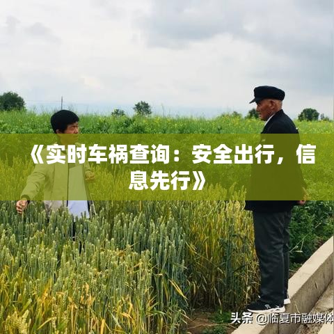《实时车祸查询：安全出行，信息先行》