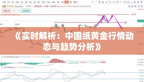 《实时解析：中国纸黄金行情动态与趋势分析》