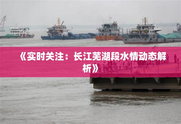 《实时关注：长江芜湖段水情动态解析》