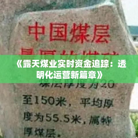 《露天煤业实时资金追踪：透明化运营新篇章》
