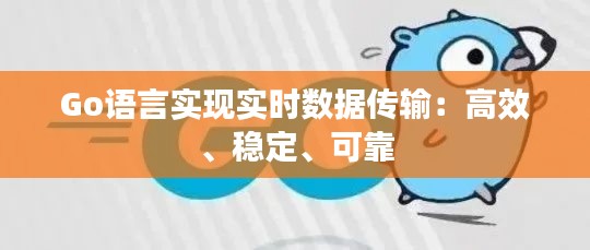 Go语言实现实时数据传输：高效、稳定、可靠