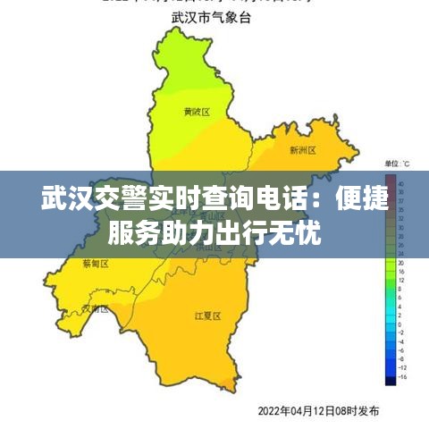 武汉交警实时查询电话：便捷服务助力出行无忧