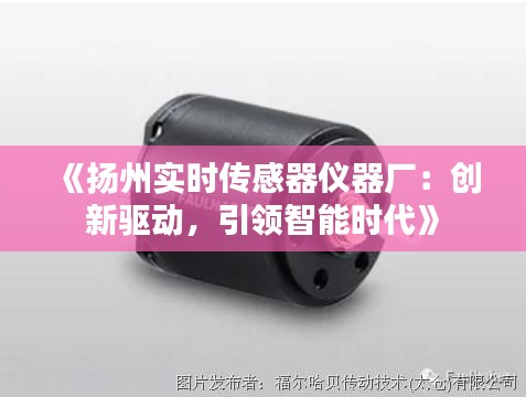 《扬州实时传感器仪器厂：创新驱动，引领智能时代》