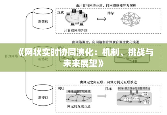 《网状实时协同演化：机制、挑战与未来展望》