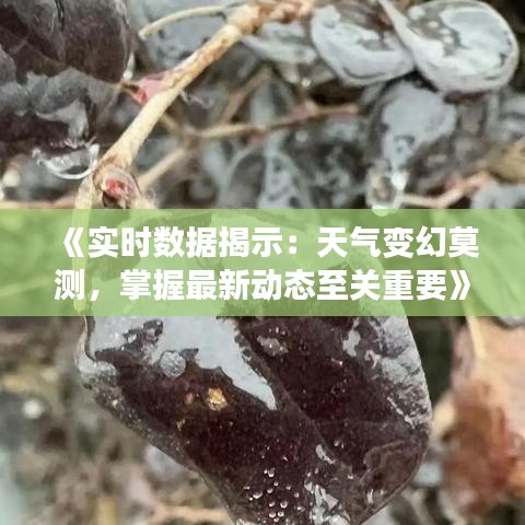 《实时数据揭示：天气变幻莫测，掌握最新动态至关重要》