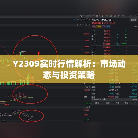 Y2309实时行情解析：市场动态与投资策略