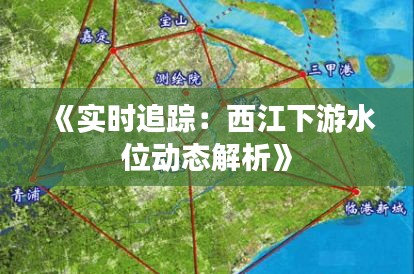 《实时追踪：西江下游水位动态解析》