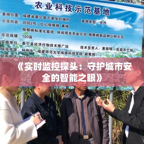 《实时监控探头：守护城市安全的智能之眼》