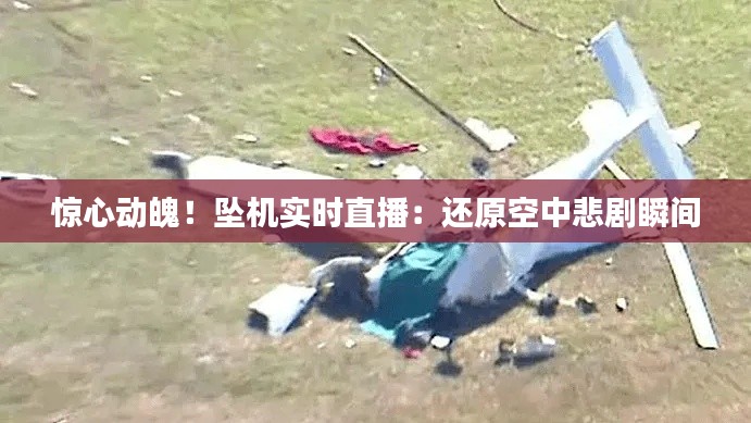 惊心动魄！坠机实时直播：还原空中悲剧瞬间