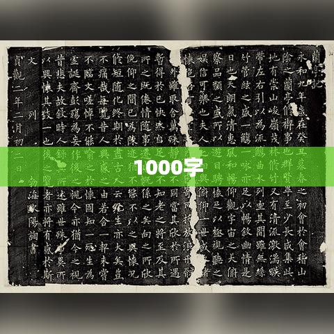 1000字