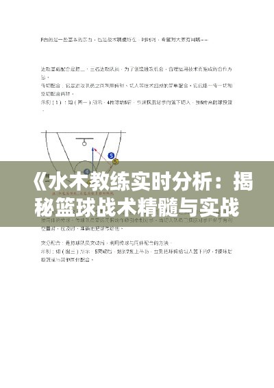 《水木教练实时分析：揭秘篮球战术精髓与实战技巧》