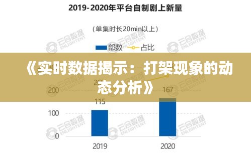 《实时数据揭示：打架现象的动态分析》