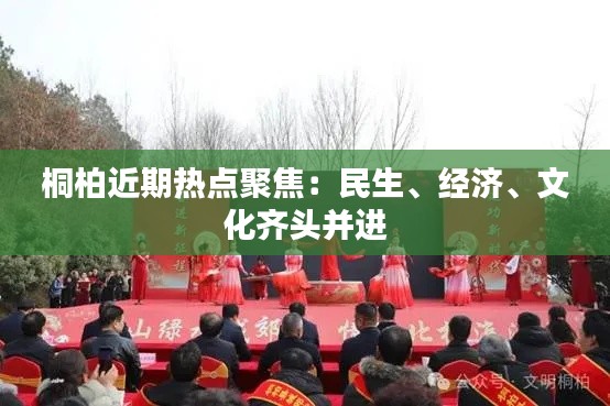 桐柏近期热点聚焦：民生、经济、文化齐头并进