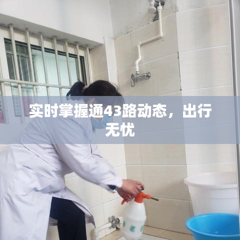 实时掌握通43路动态，出行无忧